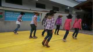 Irish Stew Kinder line dance