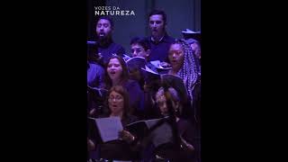 Quero-quero, Amazonas Filarmônica, Fábio Caramuru (piano), Marcelo de Jesus (regência) #shorts