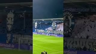 CHOREO- SV Darmstadt - Hannover 96 04.11.22