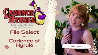 File Select- Cadence of Hyrule Oboe Cover