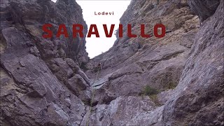 SARAVILLO, FEYSONCIEGO o ESPUENA - Lodevi