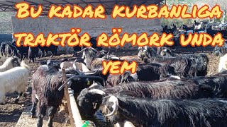 KURBANLİKLAR YEMLENDi.