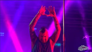 Homegrown 2016 Aftermovie 4K