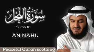 Surah An Nahl Amazing Quran Soothing by Mishary Rasheed Alfasy