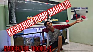 Review Water Pump Haideewell 10.000 l/h || Pompa Aquarium high quality Mayin Internasional