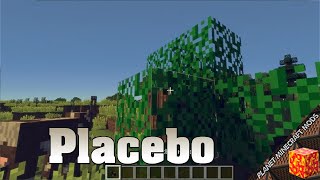 Placebo Mod 1.18.1/1.16.5/1.12.2 & Tutorial Downloading And Installing For Minecraft