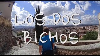 Los Dos Bichos - Chapitre 2 : A la recherche du bateau