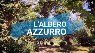 L'Albero Azzurro - Mizio Vilardi (cover sigla di chiusura programma TV Rai) CANZONI PER BAMBINI