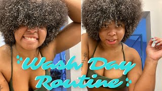 Wash Day Routine on 4A/4B Hair | Mini Sephora Haul