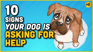 Top 10 Signs Your Dog Is Asking For Help | What Does a Dog Do When It Needs Help?