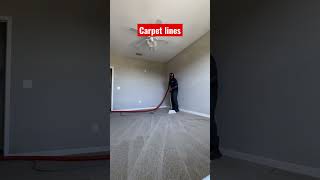 Carpet lines and Snaking #dyi #carpets #waterextraction #floors