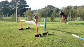 4 ft lose jumping. Lewi in his winter wollies.