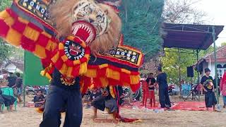 SOLAH PEMBARONG DADAK MERAK REOG PONOROGO JAGAL COPER#reogponorogo #jagalcoper #santjekmo