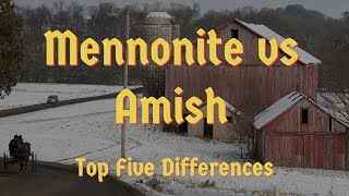 Mennonites vs Amish:  Top 5 Differences!