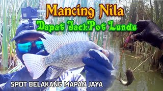 Dikasih info masse ⁉️🐟 Spot rawa lingi-lingi Patar Sayung Demak