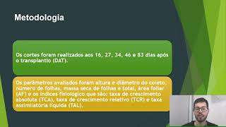 Desenvolvimento e produção de manjericão na safra de verão de Londrina, PR.