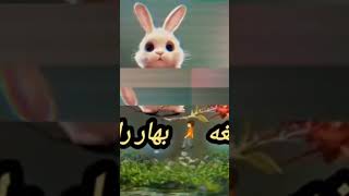 زه زړه ته می قرار راشی کله می چی یار راشی#mulayaqoob ##zamungheeli ##ملاعمر  #pashtoliterature