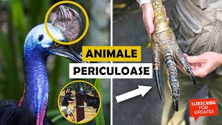 Top 5 cele mai periculoase animale