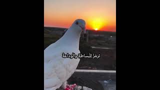 الروح القدس