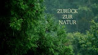 zurück zu Natur