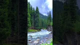 Kumrat Valley Swat | 2023 #explorepakistan #shortsyoutube #adventure