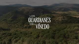 Guardianes del viñedo