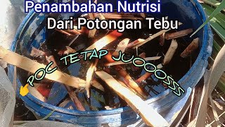 Penambahan Potongan Tebu untuk POC