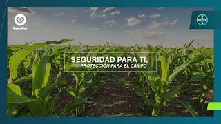 Con Agro Bayer Protege las Semillas de tu Cultivo I Agro Bayer Colombia