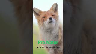 Pro Natur