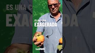 Es una cosa exagerada... #launió #caqui