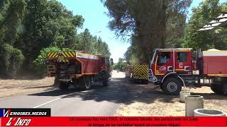 Incendie Feu de forêt à MANO dans les Landes