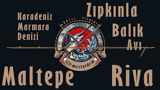 İstanbul karışık zıpkın avı (Sea of Marmara & Blacksea spearfishing)