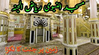 Riaz Ul Jannah Ki Ziarat | Roza Rasool Ki Ziarat | Madina Sharif Ki Ziyarat | Jannat Ka Manzar