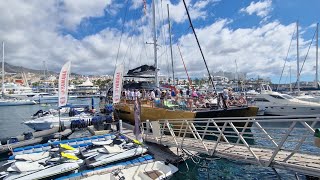 whale & dolphin watching excursion on the freebird cataraman - tenerife