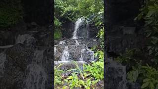 Tungareshwar Waterfall | Wildlife Sanctuary #shorts #short #waterfall #wildlife #sanctuary #travel