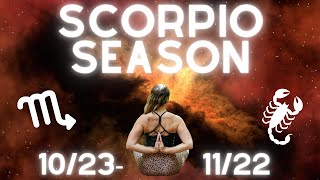 Scorpio Season 2020 -  Energy Update & Shadow Work Deep Dive - 10/23 to 11/22 - Face Your Darkness