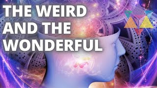 The Weird And The Wonderful