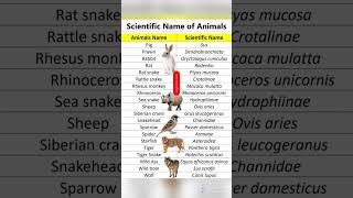 👉Unlocking the Secrets: Scientific Names of All Animals | जानवरों के वैज्ञानिक नाम | #gk #viral