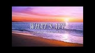 Skyrulez Ft. Sofea Bert - What's App