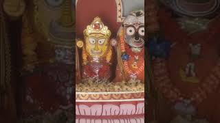 #jagannath Bhajan # chithi lekhuchi...#shorts#shortvideo