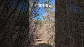 자연재벌농부의 인생정원 만들기#라엘의숲길