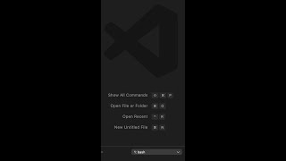 How to Change VSCode Terminal to Bash or Other in Less Than 30 seconds for Mac or Windows.