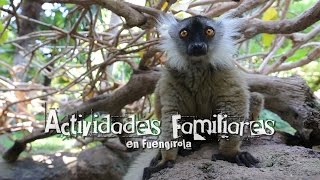 Actividades Familiares en Fuengirola