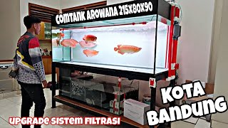 Mewah! Instal Tabung Overflow Di Big Tank 7 Naga  ||Upgrade sistem filtrasi Sump filter aquarium