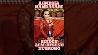 Sinden cantik Agnesia Nandasari #sindenwayang #kisenonugroho #dalang #wayangkulit #senonugroho