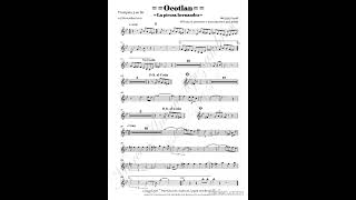 Danzon ocotlan - banda la picosa banda hernandez (partitura)