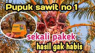 solusi tepat atasi kebun sawit rusak,mau mati➡️coba pupuk ini #petani #buahsuper #sawit #pupukpaten