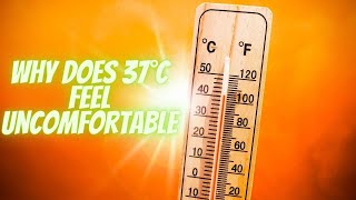 The Science of Feeling Hot: Why Does 37°C Feel Uncomfortable in Hot Weather?