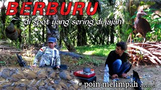 SPOT YANG SERING DI JAJAH...😲‼️BERBURU SINTAR BURIK DI MUSIM PENGHUJAN AUTO PANEN👍👍