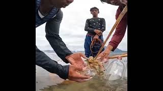 unique type of fishing. It is good to be adventurous.